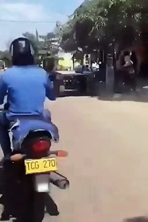 Runaway mulet