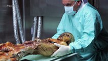 Ötzi era calvo e de pele mais escura do que se pensava