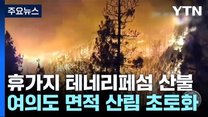 유명 휴가지 테네리페섬 산불...여의도 만한 산림 초토화 / YTN