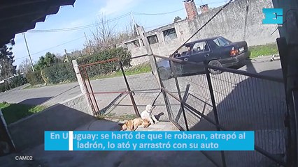 En Uruguay: se hartó de que le robaran, atrapó al ladrón, lo ató y arrastró con su auto