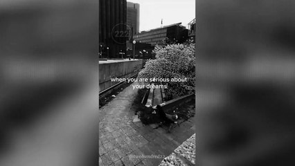 when you are serious about your dreams