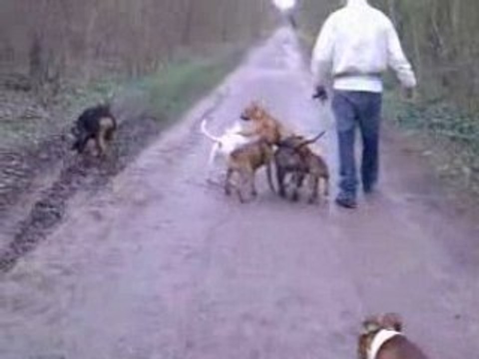 La famille