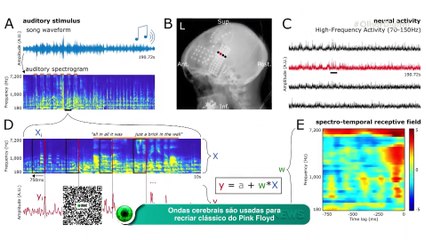 Ondas cerebrais são usadas para recriar clássico do Pink Floyd