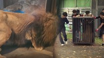[뉴스라이더] '운영 중단' 부경 동물원...남은 동물들은 어디로? / YTN