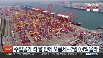 수입물가 석 달 만에 오름세…7월 0.4% 올라