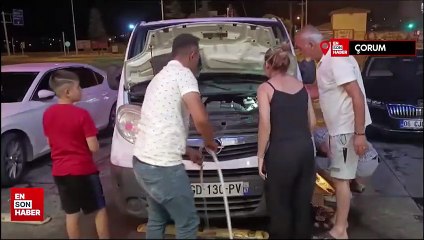 Ordu'dan Çorum'a gelen yaramaz kedi, 400 kilometre yolculuk yaptı