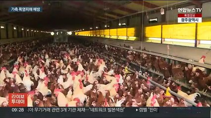 기록적 폭염에 가축들도 비상…경기도 시설 지원