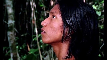 Le chant de la forêt Bande-annonce (EN)