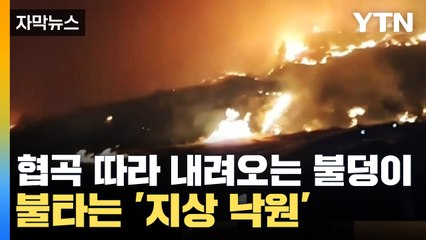 [자막뉴스] 불타는 지구촌 최대 휴양지...협곡 따라 내려오는 '불덩이' / YTN