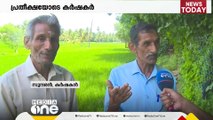 ഇന്ന് ചിങ്ങം ഒന്ന്; പ്രതിസന്ധികളോട് പോരാടി പുതിയ നാളുകളിലേക്ക് പ്രവേശിച്ച് കർഷകർ