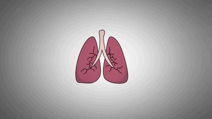 HOW TO DETOXIFY YOUR LUNGS AT HOME- Lung Detoxification for Smokers