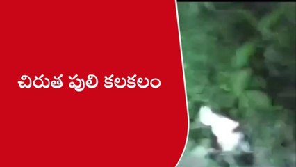 నిర్మల్: జిల్లాలో చిరుత పులి కలకలం.. స్థానికుల భయాందోళన