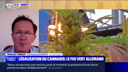 Le gouvernement allemand donne son aval à la légalisation du cannabis récréatif