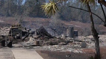 [더뉴스] 커지는 인재 논란...하와이 참사, 현지 피해 상황은? / YTN