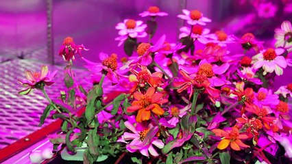 15 RARE FARMS You Didn't Know Existed