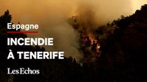 En Espagne, des feux « hors de contrôle » sur l’île de Tenerife