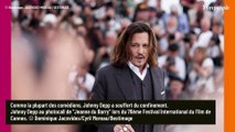 Johnny Depp : Sa fille Lily-Rose l'a empêché de revendre son hameau provençal à 50 millions d'euros