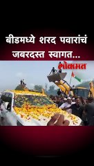 बीडमध्ये शरद पवारांचं जबरदस्त स्वागत...