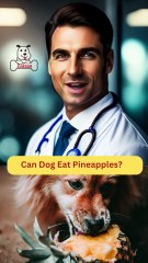 Can Dog Eat Pineapples | Dog Food Review | Zudaan