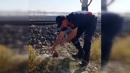 L'amour de la gendarmerie pour les animaux a réchauffé le cœur de ceux qui l'ont vu
