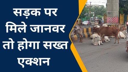 नोएडा : सड़कों पर मिले पालतू जानवर तो पशु मालिकों पर दर्ज होगा मुकदमा,देखिए पूरी रिपोर्ट