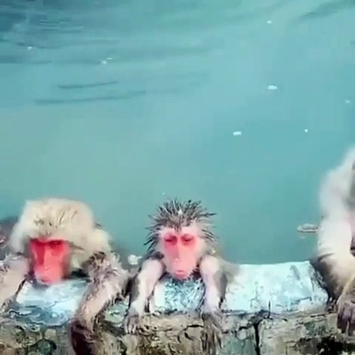 Spa day.. 