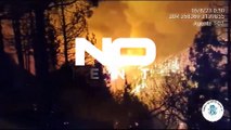 Waldbrand wütet auf Teneriffa
