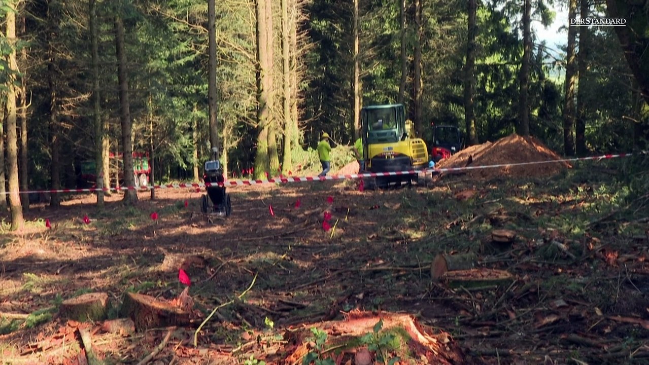 Grabung nach deutschen Wehrmachtssoldaten in Frankreich hat begonnen