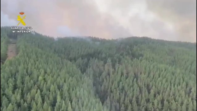 Smoke billows from Tenerife wildfire as firefighters battle to contain blaze