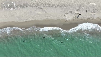 잠깐, 쉼 - 동해안 비경을 담은 삼척 / YTN