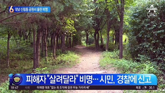 대낮 신림동 공원의 비명…성폭행 피해자 위독