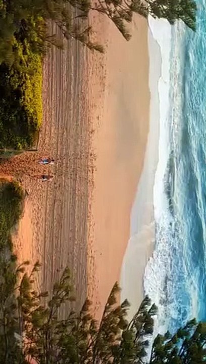 Home and Away 8098 || Home and Away 17th August 2023