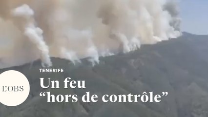 En Espagne, l'île de Tenerife est ravagée par les feux de forêt
