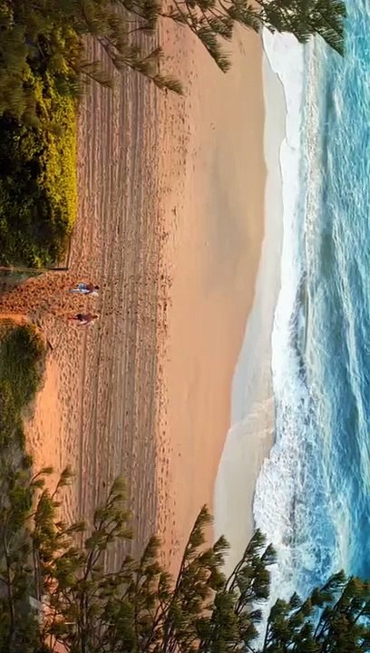 Home and Away 8099 || Home and Away 17th August 2023