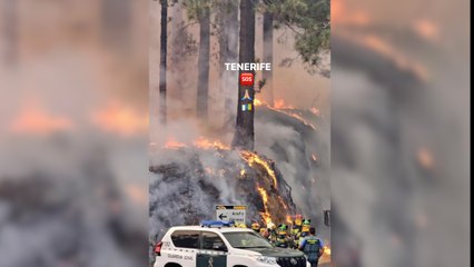 Anabel Pantoja afectada por el incendio que asola Tenerife