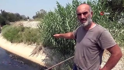 Les fabricants qui nourrissent leurs produits avec de l'eau sale sont devenus mal à l'aise