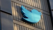 Néons, oiseau bleu, lave-vaisselle : les meilleurs objets de Twitter mis aux enchères