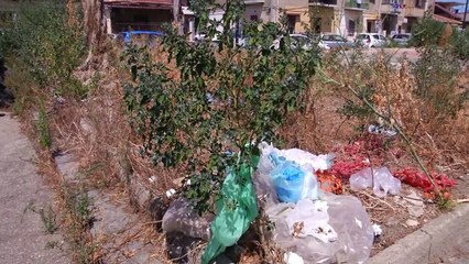 TROPPI RIFIUTI IN STRADA, POTENZIATO LO SPAZZAMENTO