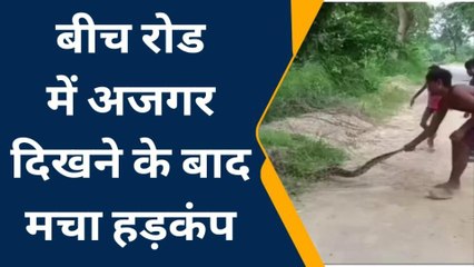 कौशाम्बी: सड़क पर आया अजगर,बच्चों ने बनाया अपने खेल का साधन