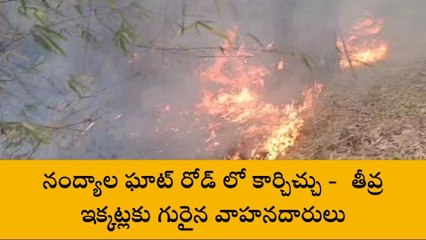 నంద్యాల జిల్లా: ఘాట్ రోడ్ లో కార్చిచ్చు.. దట్టమైన పొగలతో...!