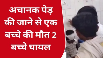 सीतापुर : अचानक पेड़ गिर जाने से नीचे खेल रहे एक बच्चे की मौत 2 बच्चे गंभीर रूप से घायल