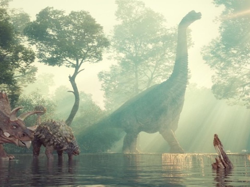 Forscher finden in Alaska bisher größte Stätte mit Dinosaurierspuren