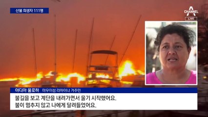 하와이 산불에 차 속 3대 숨져…안타까운 사연 전해져