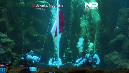 WATCH: Divers hoist underwater flag to mark Indonesia's Independence Day