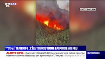 L'incendie à Tenerife en Espagne a ravagé plus de 1800 hectares de forêt