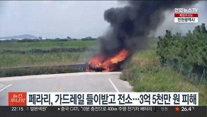 페라리, 부안서 가드레일 들이받고 전소…3억5천만원 피해