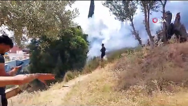 Aydın'ın Söke ilçesinde zeytinlik alanda yangın çıktı