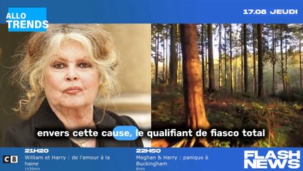 Brigitte Bardot révèle les détails intimes de sa relation singulière avec Jacques Chirac !