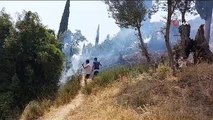 Un incendie s'est déclaré dans l'oliveraie du quartier Söke d'Aydın.