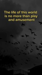 Quran Visuals with English Translation